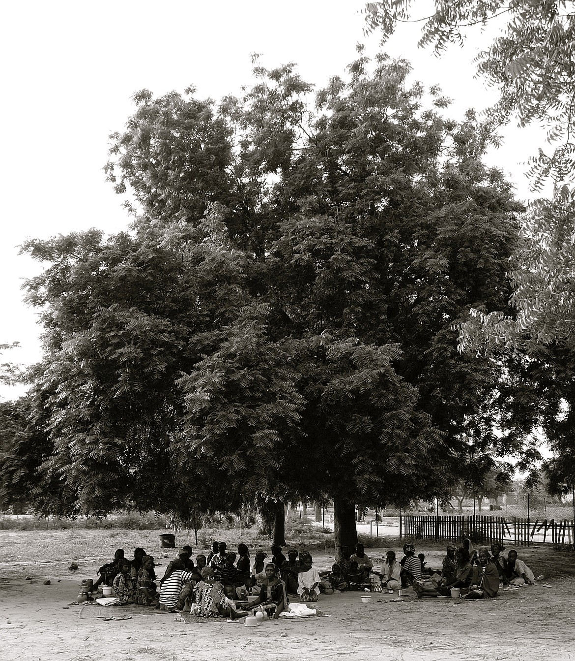 Women in Niger congregate under a large tree to spend time together during the day. A framed copy of this photo hangs in Sarah Walker&#146;s Coeur d&#146;Alene home.