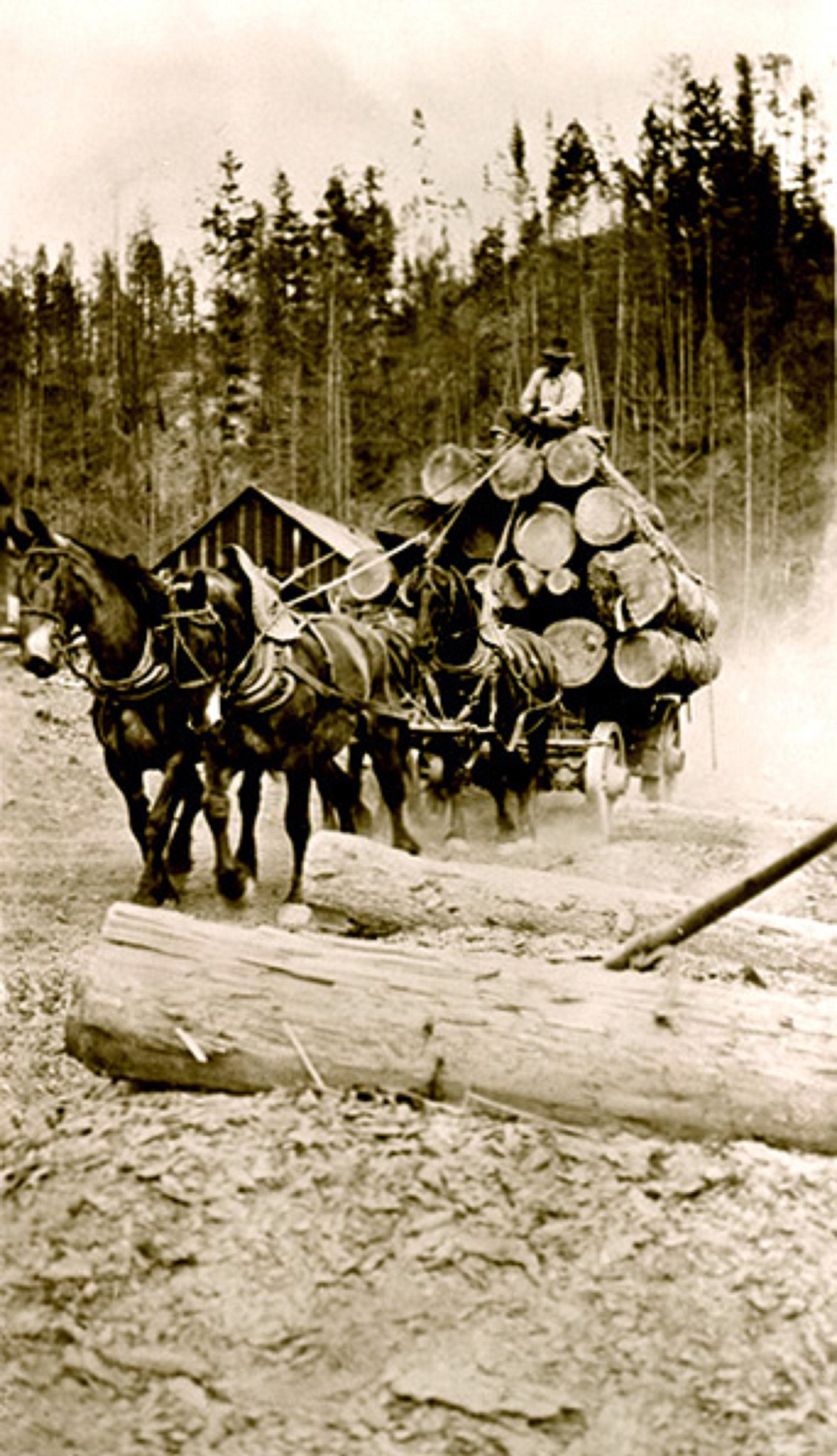 (Photo courtesy PRIEST LAKE HISTORY MUSEUM)
The history of early logging in Priest Lake was the first of four presentations in the Priest Lake Heritage Series, hosted by the Priest Lake Museum in the Coolin Civic Center last Wednesday.