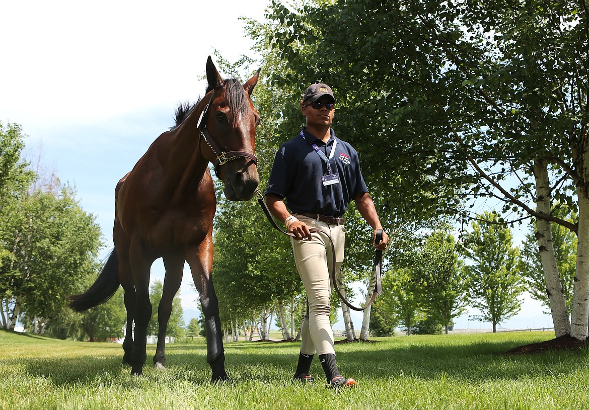 Kanyon Walker, 17, handwalks his horse Durango on Tuesday prior to The Event at Rebecca Farm in Kalispell. (Mackenzie Reiss/Daily Inter Lake)