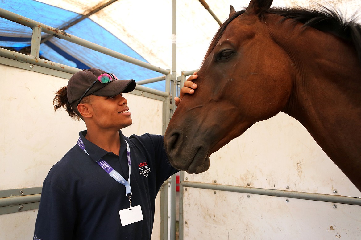 Kanyon Walker prepares to handwalk his horse Durango on Tuesday afternoon. (Mackenzie Reiss/Daily Inter Lake)