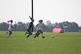 Sting Timbers girls clinch berth in title game