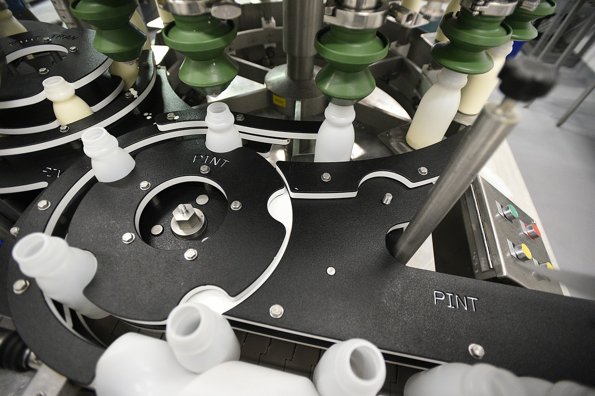 Pints of milk are filled on a production line at Kalispell Kreamery on Thursday, July 5. (Casey Kreider/Daily Inter Lake)