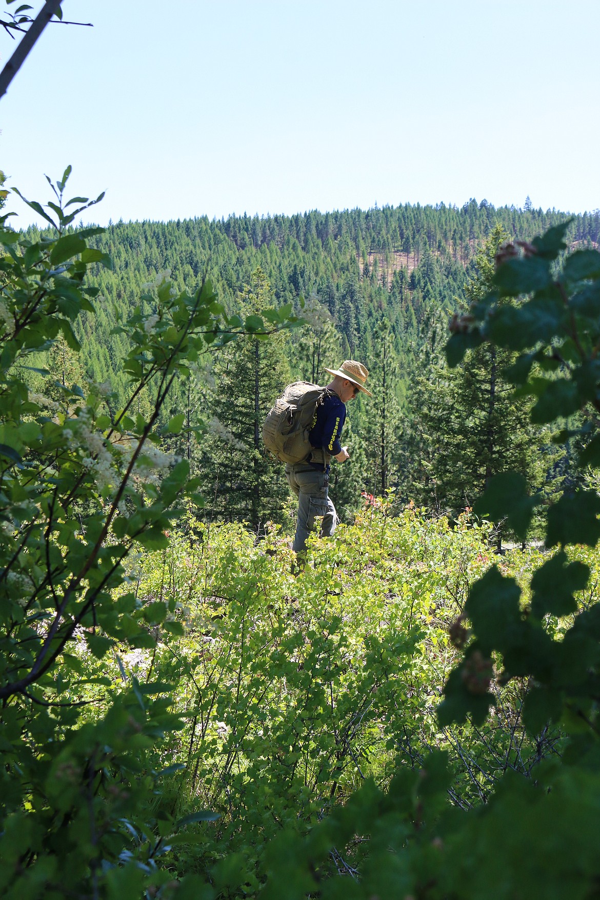 Photo by MANDI BATEMAN
Looking for clues off the trail.