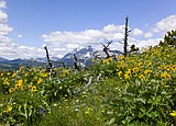 Poll: Public favors public land protections