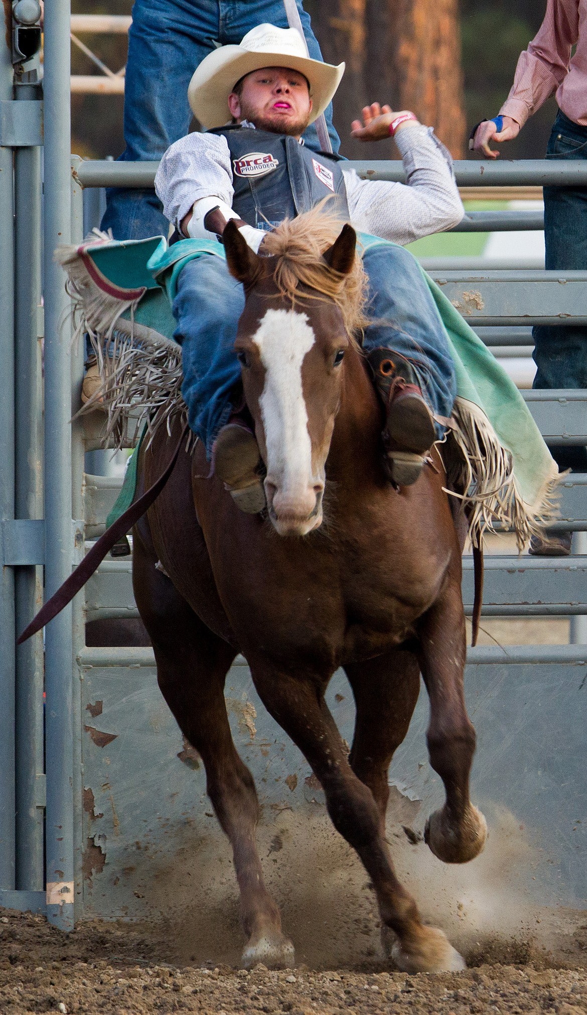 Skyler Erickson of Powell, Wyoming competes in the bareback riding event at the Kootenai River Stampede PRCA Rodeo in Libby Saturday, Aug. 5, 2017. (John Blodgett/The Western News file photo)