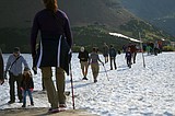 By 8 a.m., hundreds hitting Logan Pass Trails