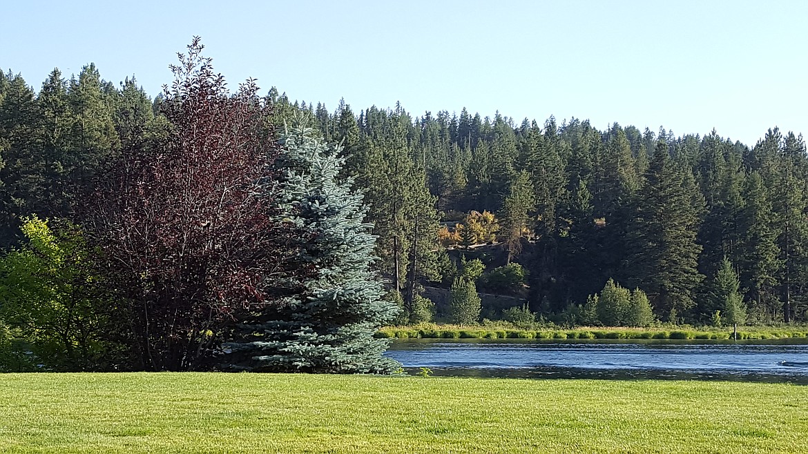 A waterfront view at Mill River.