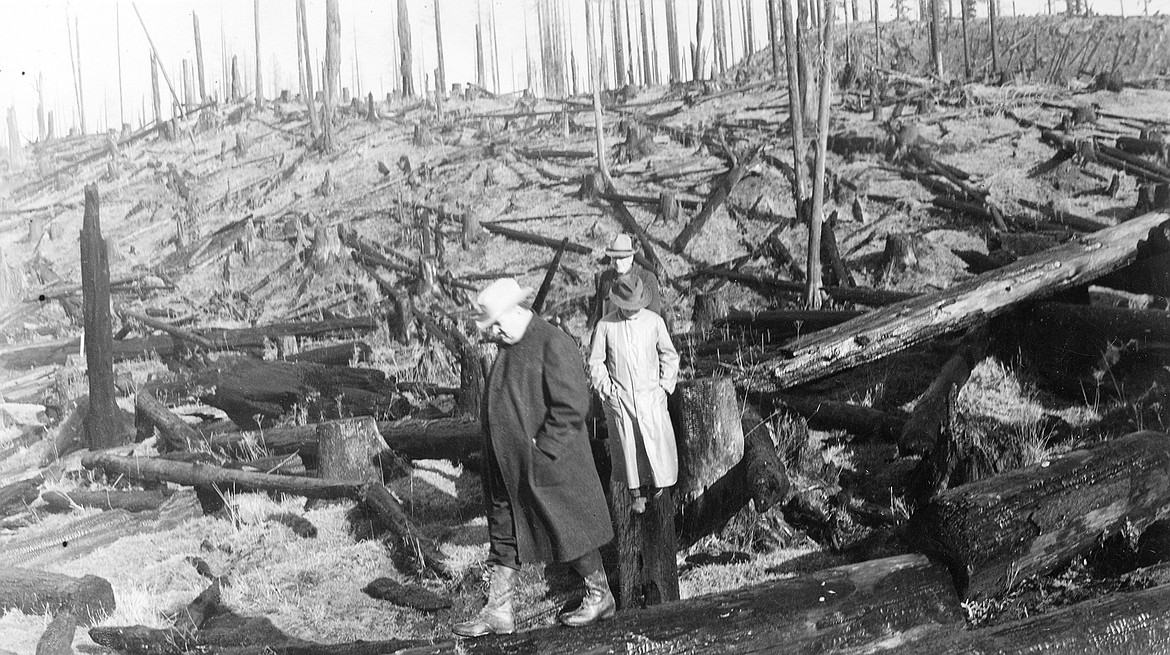 OREGON STATE UNIVERSITY ARCHIVES
Visiting a burned and cut-over section of the Tillamook Burn around 1940.