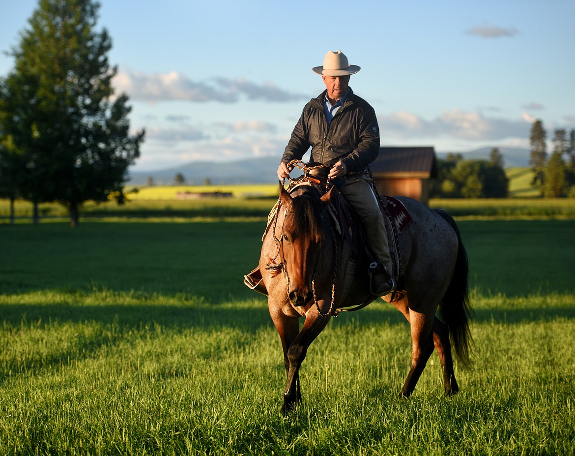 Dave Gamble of Standing Heart Ranch near Whitefish works with Dinero, one of his Quarter Horses, on June 26. (Brenda Ahearn/Daily Inter Lake)