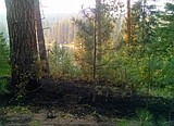 Conditions help limit park fire