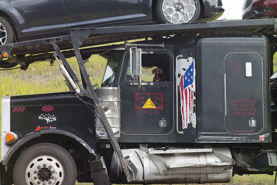 A dog looks out the window of the semi, which received damaged to its fender, side and fuel tanks. Some of the new vehicles also had damage from debris.