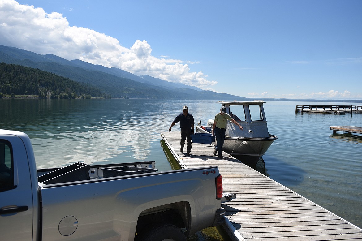 Joe Santos, left, and Barry Hansen transport bins of lake trout to the Native Fish Keepers' processing facility at Blue Bay on June 20. (Casey Kreider/Daily Inter Lake)