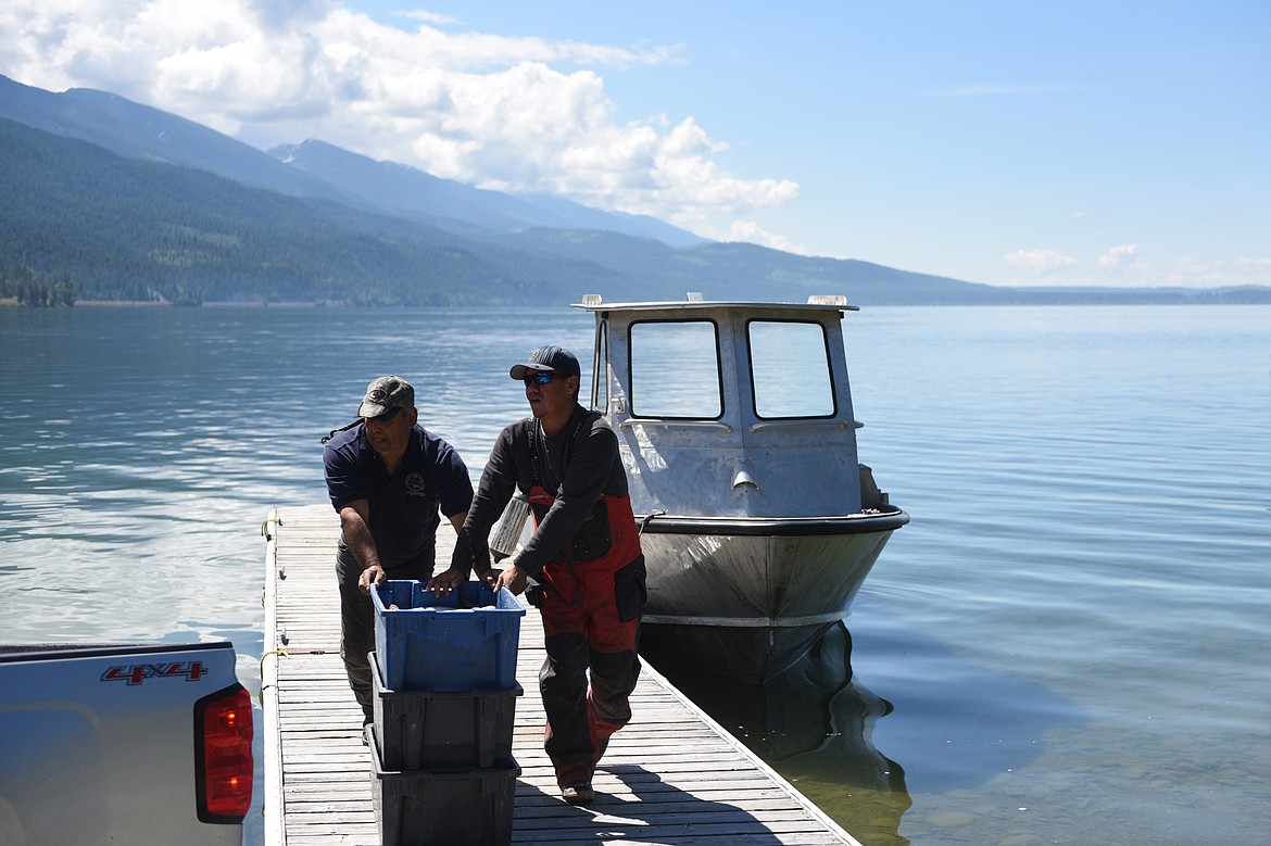 Joe Santos, left, and Woody Red Cloud transport bins of lake trout to the Native Fish Keepers' processing facility at Blue Bay on June 20. (Casey Kreider/Daily Inter Lake)