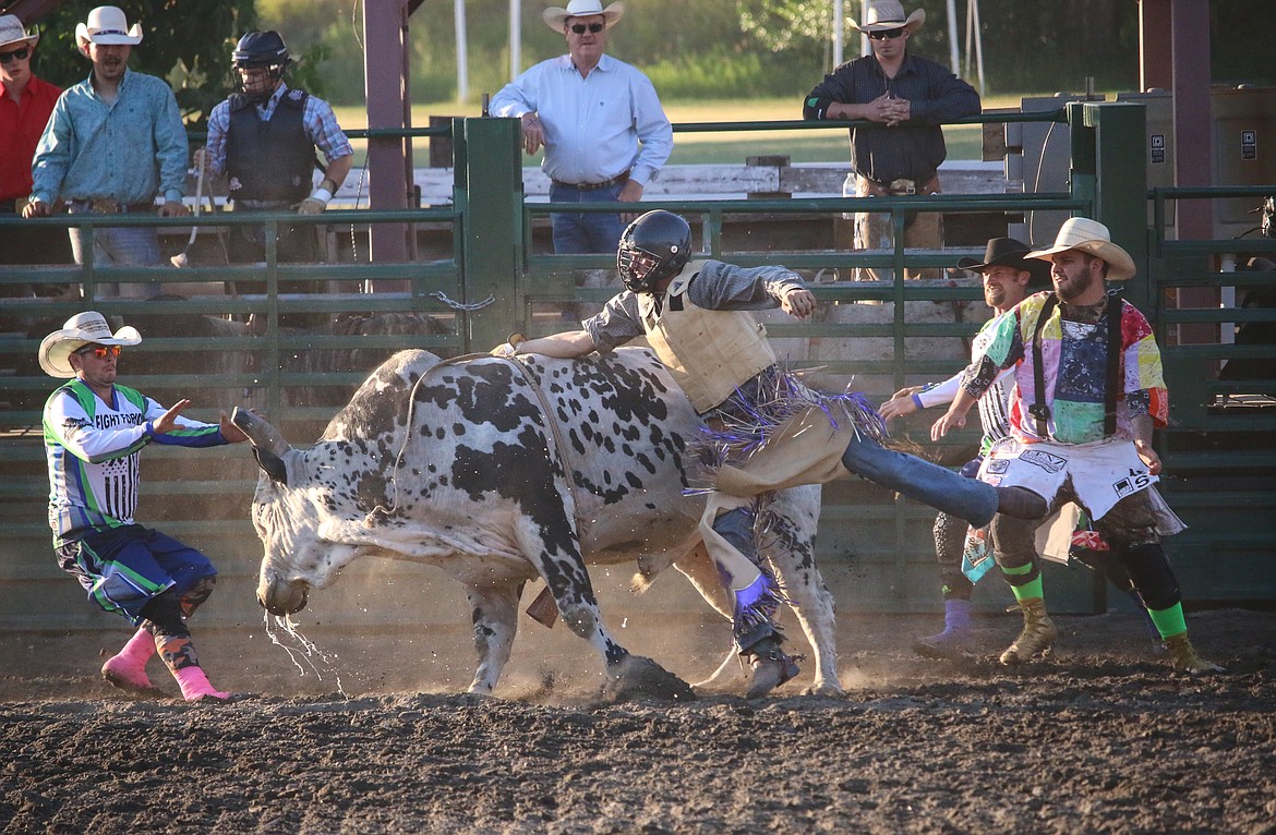 Photo by MANDI BATEMAN
Bullfighters team up to free a hung up bull rider during the Kootenai River Days Bull Bash.