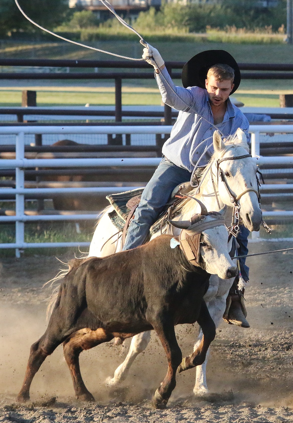 Photo by MANDI BATEMAN
Team roper going for the heels.