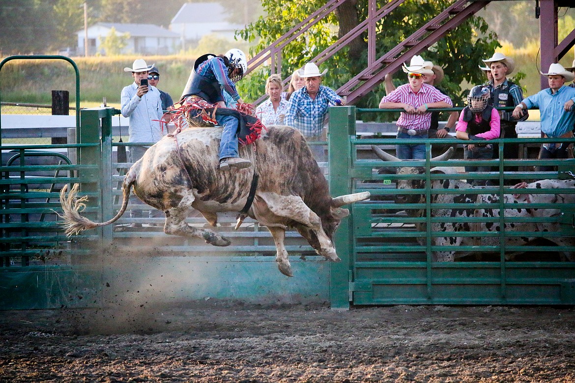 Photo by MANDI BATEMAN
Man versus beast during the Bull Bash.