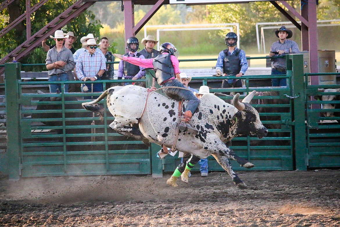 Photo by MANDI BATEMAN
With a strong line up of bulls, there was many cheers for the riders that where able to make the ride.