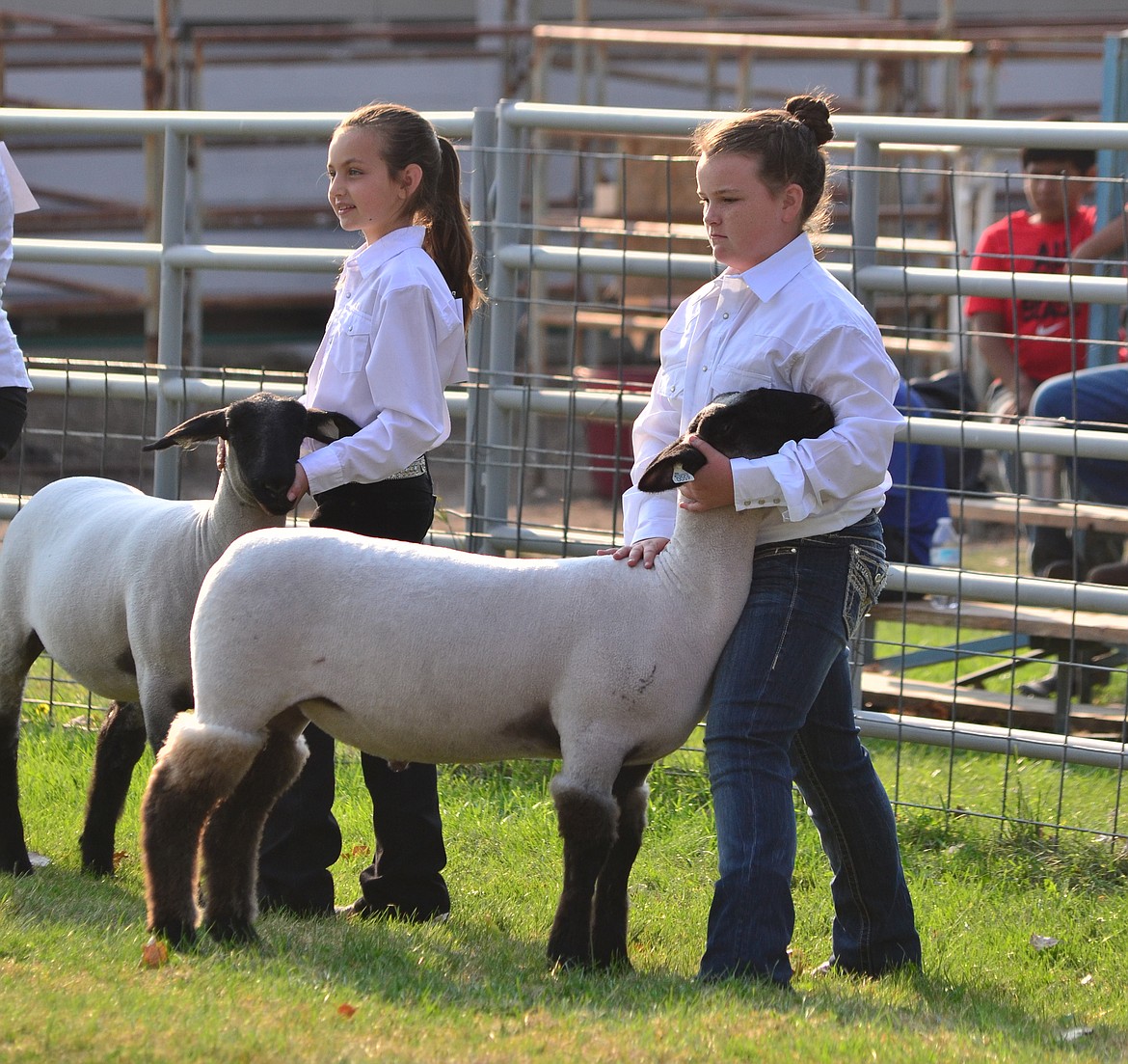 4-H Clubs are set to return to the show ring to show off their animals at this year&#146;s Sanders County Fair. (Clark Fork Valley Press file)