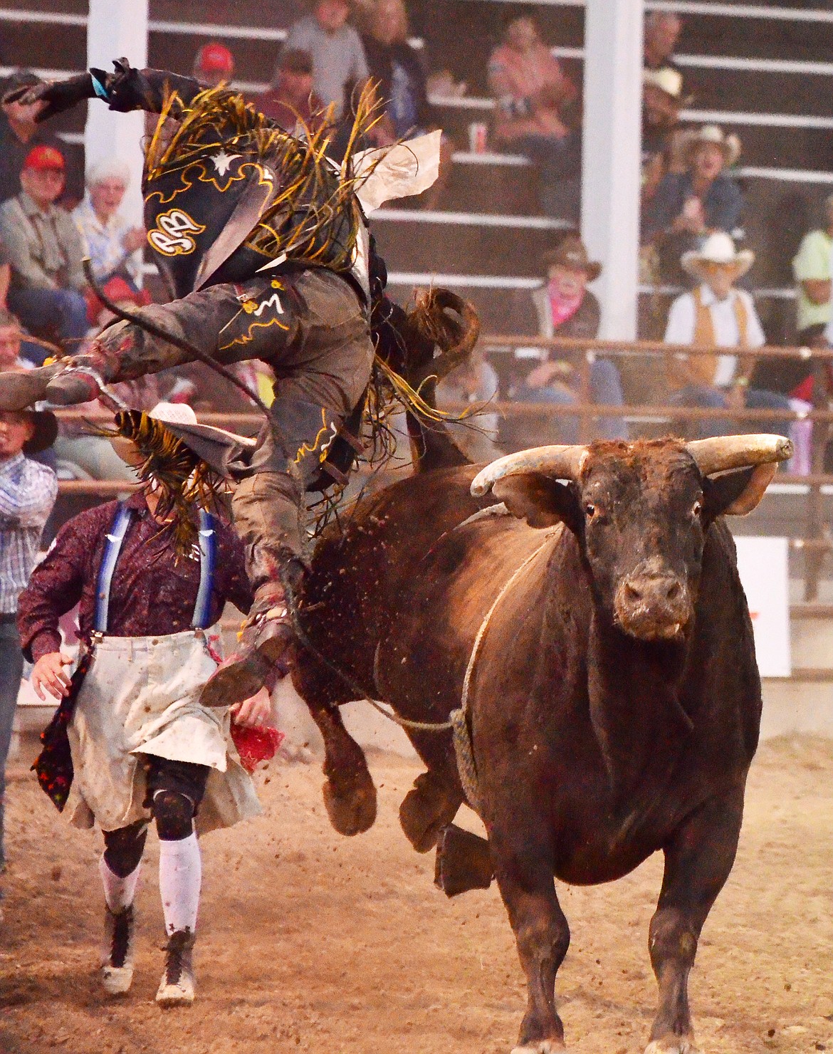 There&#146;s no doubt the bulls had a blast as they bucked off cowboys like Elliot Jacoby during the Thursday night bulls and barrels performance at the Sanders County Fair (Erin Jusseaume/ Clark Fork Valley Press)