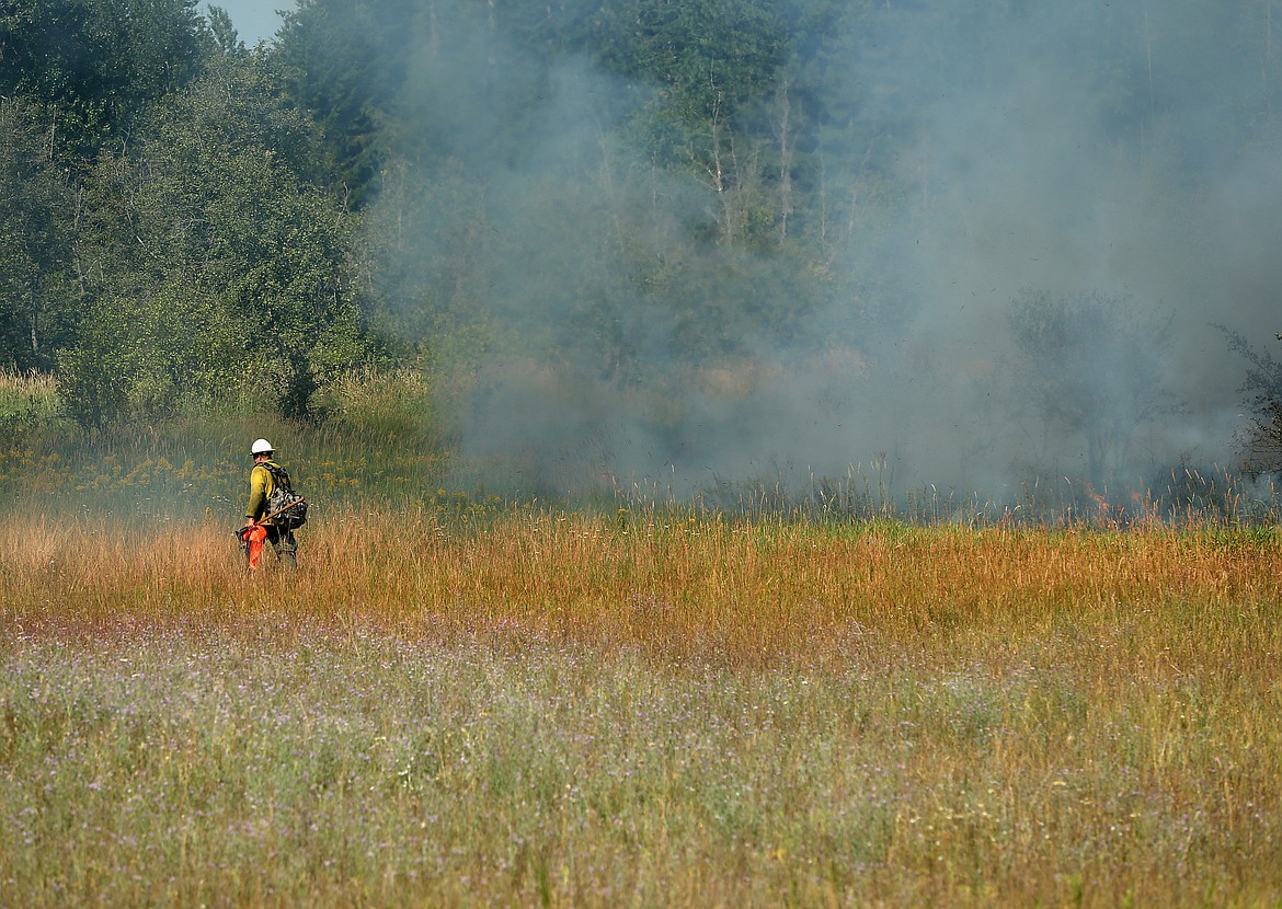 A firefighter walks around a fire to help direct air support on a fire near Dodd and Strahorn Roads in Hayden on Monday. (LOREN BENOIT/Press)