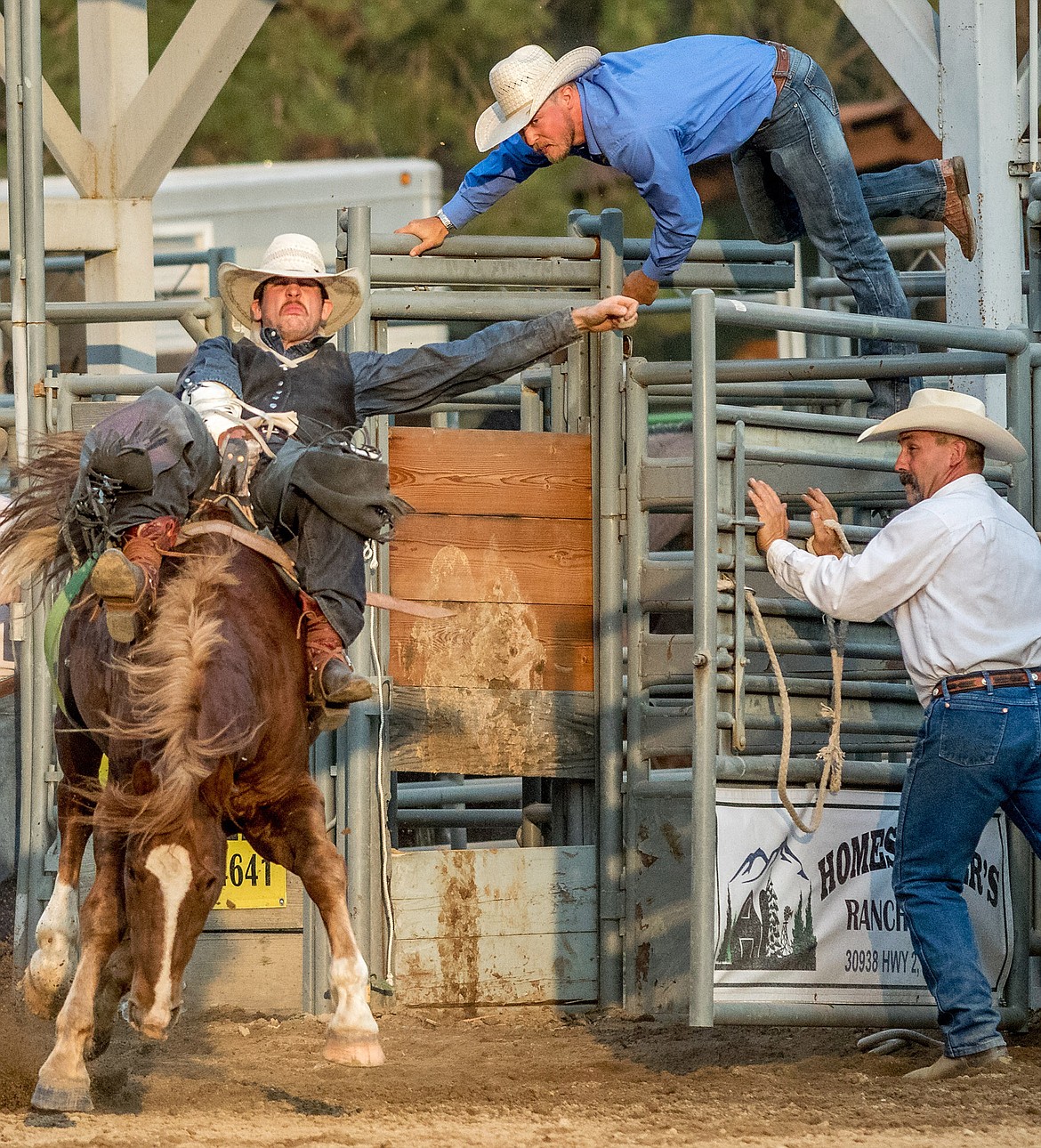 Kirk. St. Clair of Blodgett, Oregon, competes in bareback riding during the Kootenai River Stampede PRCA Rodeo at J. Neils Arena in Libby Friday. (John Blodgett/The Western News)