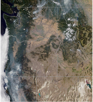 Smoke from British Columbia made its way into the Panhandle Thursday, and can be seen in this satellite image recorded Thursday at 1:30 p.m. (Courtesy of IDAHO PANHANDLE NATIONAL FOREST)