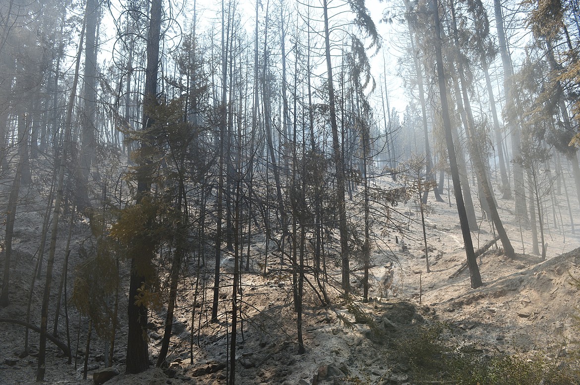 Smoke from the Garden Creek Fire lingers on a charred hillside near Hot Springs on Thursday. (Casey Kreider/Daily Inter Lake)