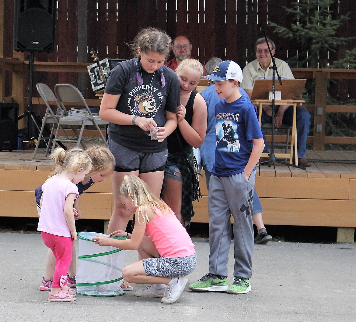 4-H Camo Critters members share their experience raising butterflies from caterpillars and released them during the Talent Show at the Mineral County Fair on Saturday.