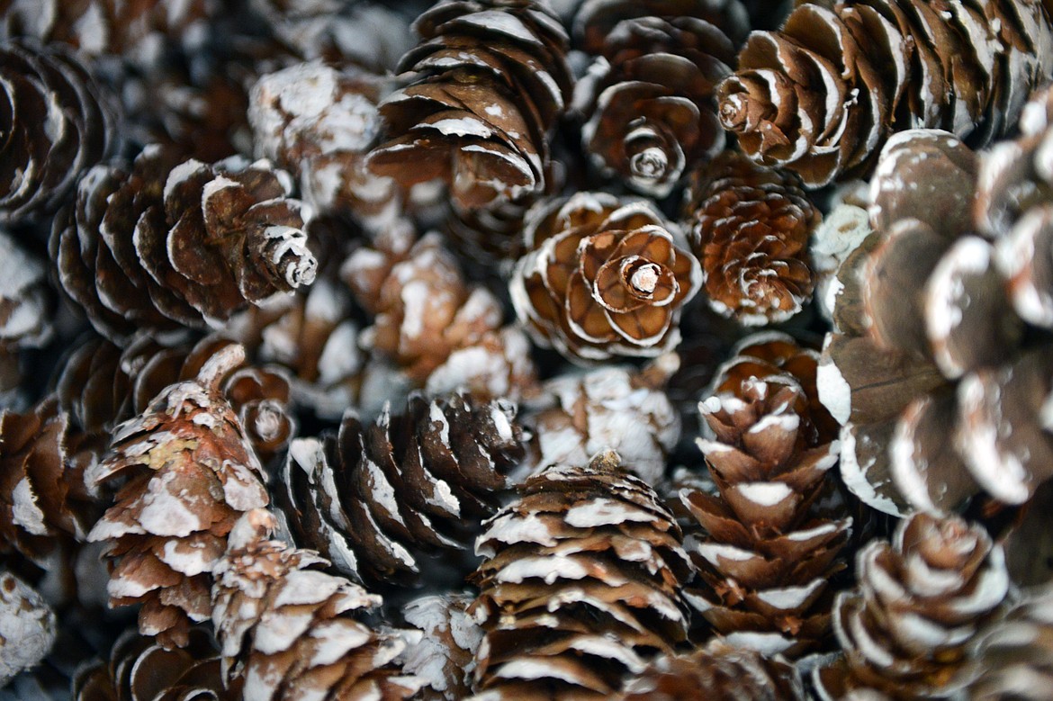 Pine cones dipped in a white decorative paint sit in boxes at Glacier Cone Company in Polson on Friday, July 27. (Casey Kreider/Daily Inter Lake)