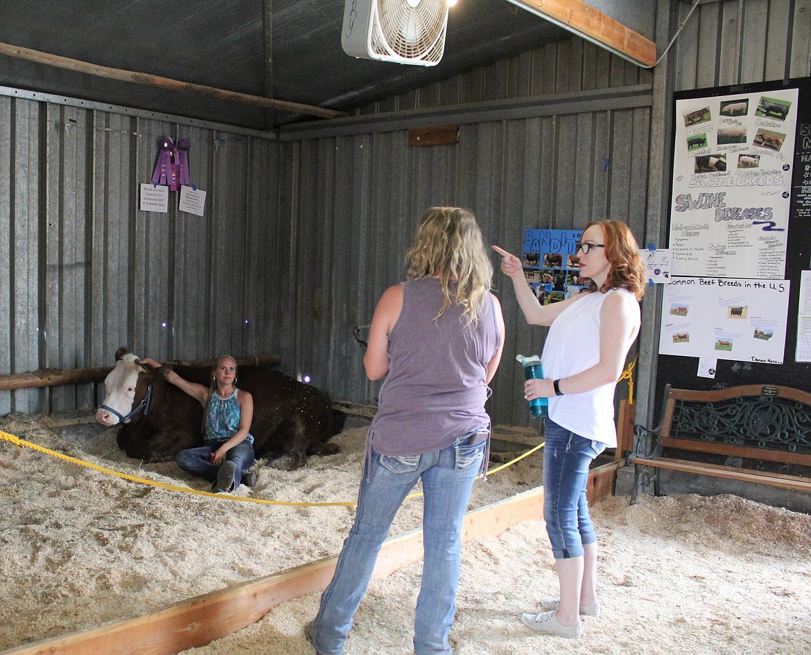 Emma Hill lounges with her 1,330-pound steer, Bandit, just before the 4-H/FFA livestock auction in Superior on Aug. 4.