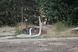 Couple rescued from sewage tank