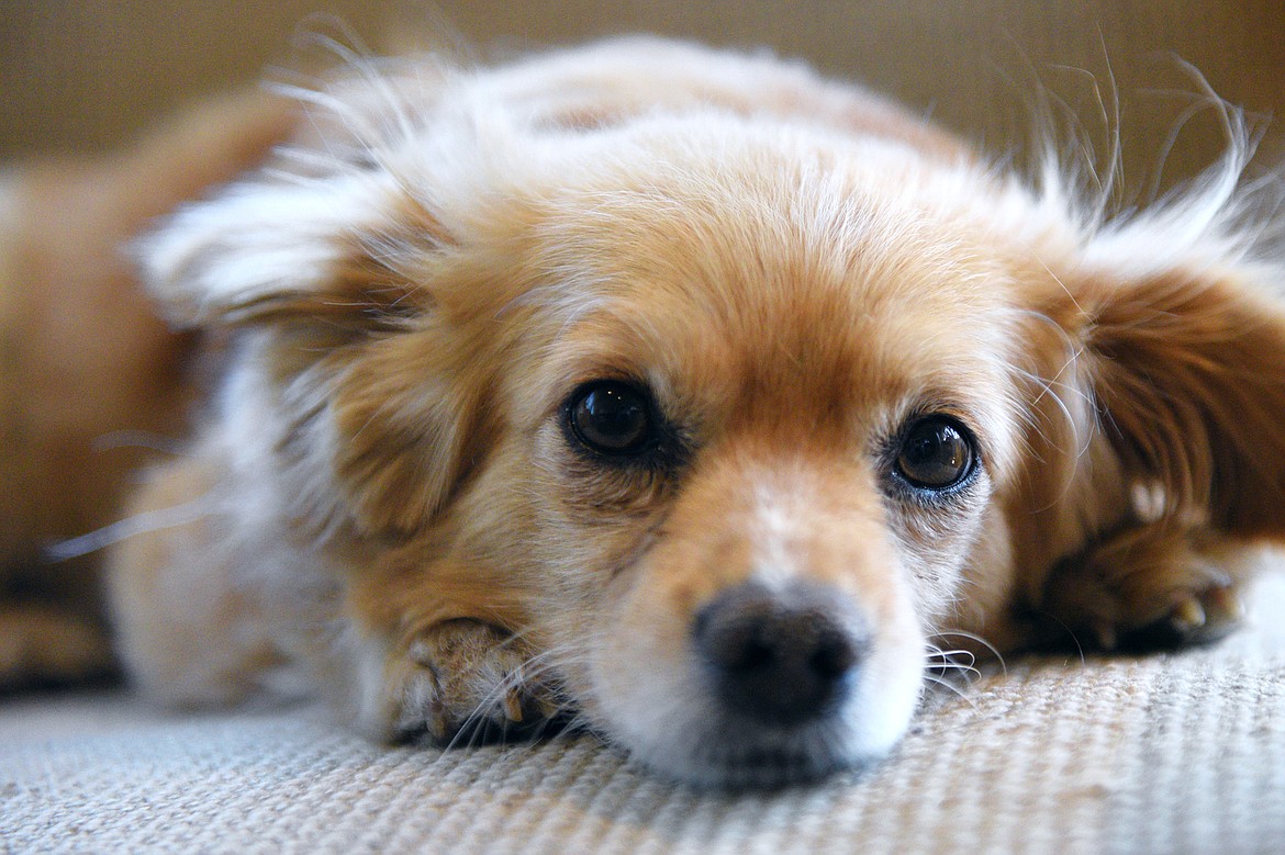 Seeley rests on a chair at Frontier Hospice in Kalispell.