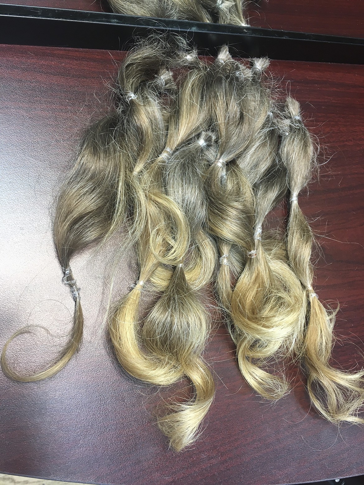 TWELVE BUNCHES of hair measuring 10 inches in length were donated by a Lake County Sheriff narcotics detective last week to the nonprofit Wigs for Kids. (Photos by Ashley Fox/Lake County Leader)