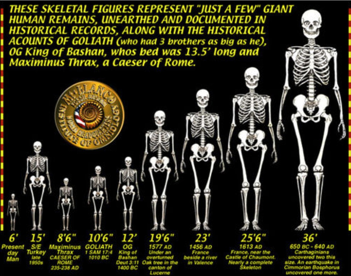 GOOGLE IMAGES
Chart of some reported giant skeletons allegedly found.