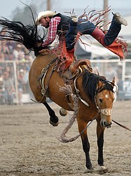 Andrew Evjene, of Two Dot, gets bucked off his horse Dark Shadows during the saddle bronc riding event at the Northwest Montana Fair PRCA Rodeo on Saturday evening at the Flathead County Fairgrounds. (Casey Kreider/Daily Inter Lake)