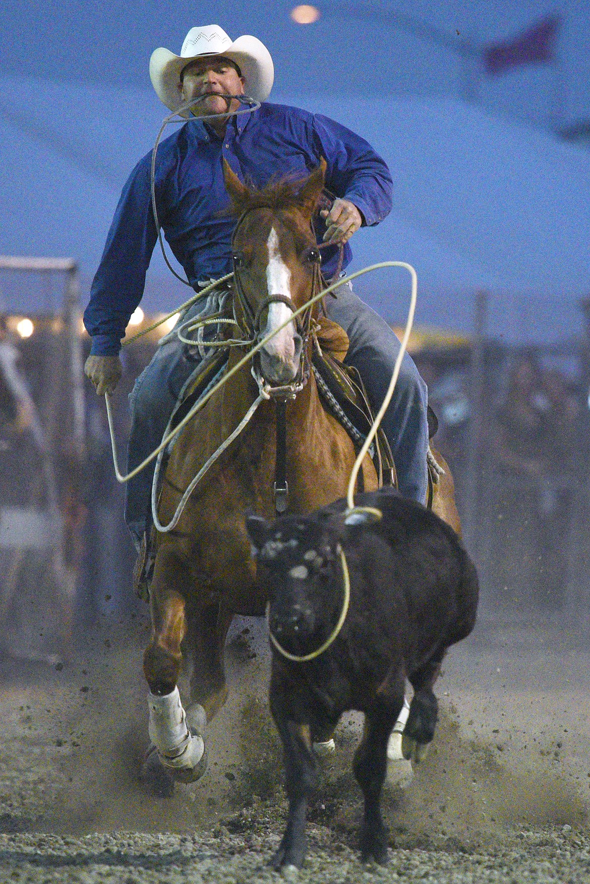 Bryant Mikkelson, of Buffalo, competes during the tie down roping event at the Northwest Montana Fair PRCA Rodeo on Saturday evening at the Flathead County Fairgrounds. (Casey Kreider/Daily Inter Lake)