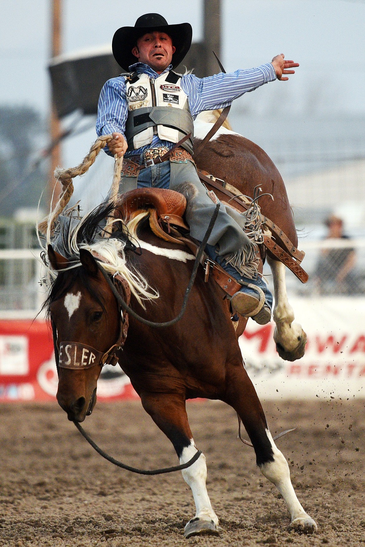 Mitch Pollock, of Winnemucca, NV, hangs on to his horse Smiling Back during the Saddle Bronc Riding event at the Northwest Montana Fair and Rodeo on Thursday. (Casey Kreider/Daily Inter Lake)