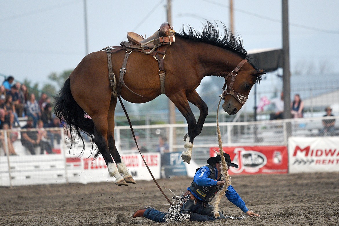 Rusty Wright, of Milford, UT, is bucked off his horse Believe Me during the Saddle Bronc Riding event at the Northwest Montana Fair and Rodeo on Thursday. (Casey Kreider/Daily Inter Lake)