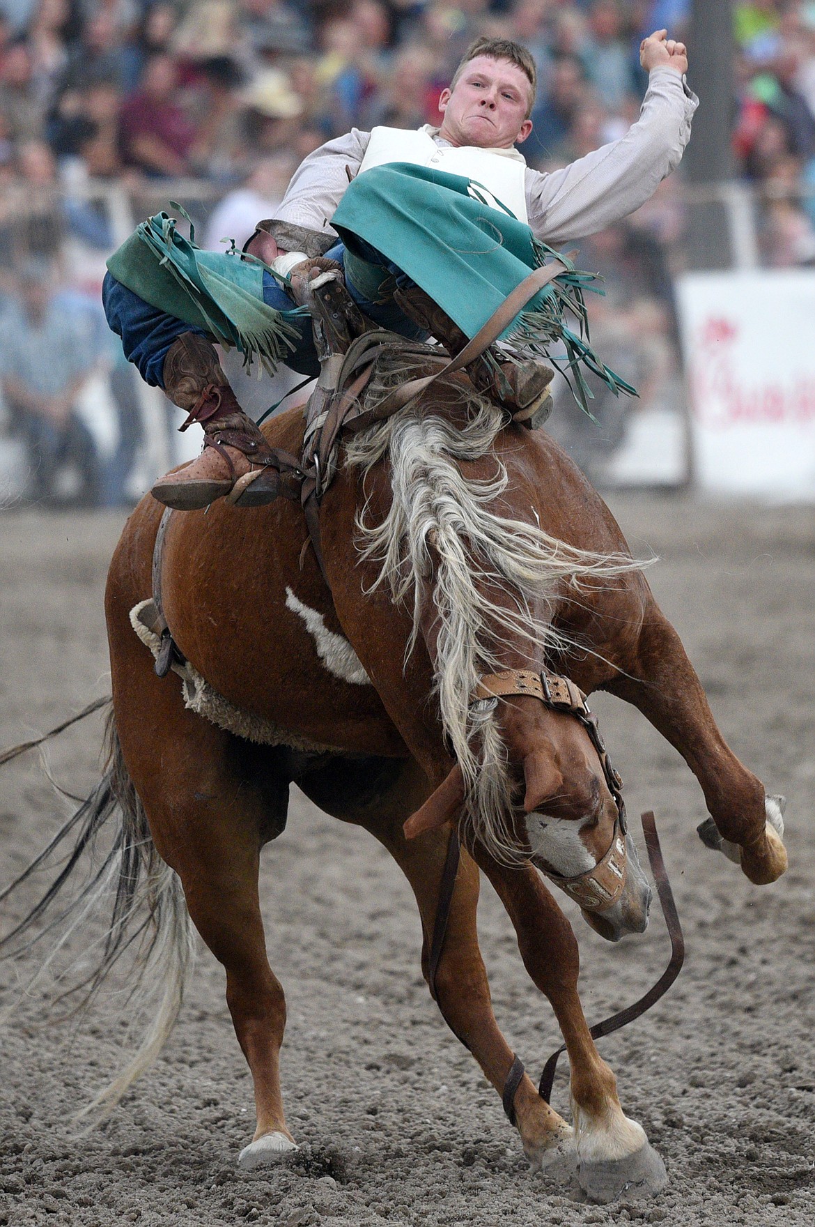 Zach Hibler, of Wheeler, TX, holds on to his horse Illegal Smile during the bareback riding event at the Northwest Montana Fair PRCA Rodeo on Friday evening at the Flathead County Fairgrounds. (Casey Kreider/Daily Inter Lake)