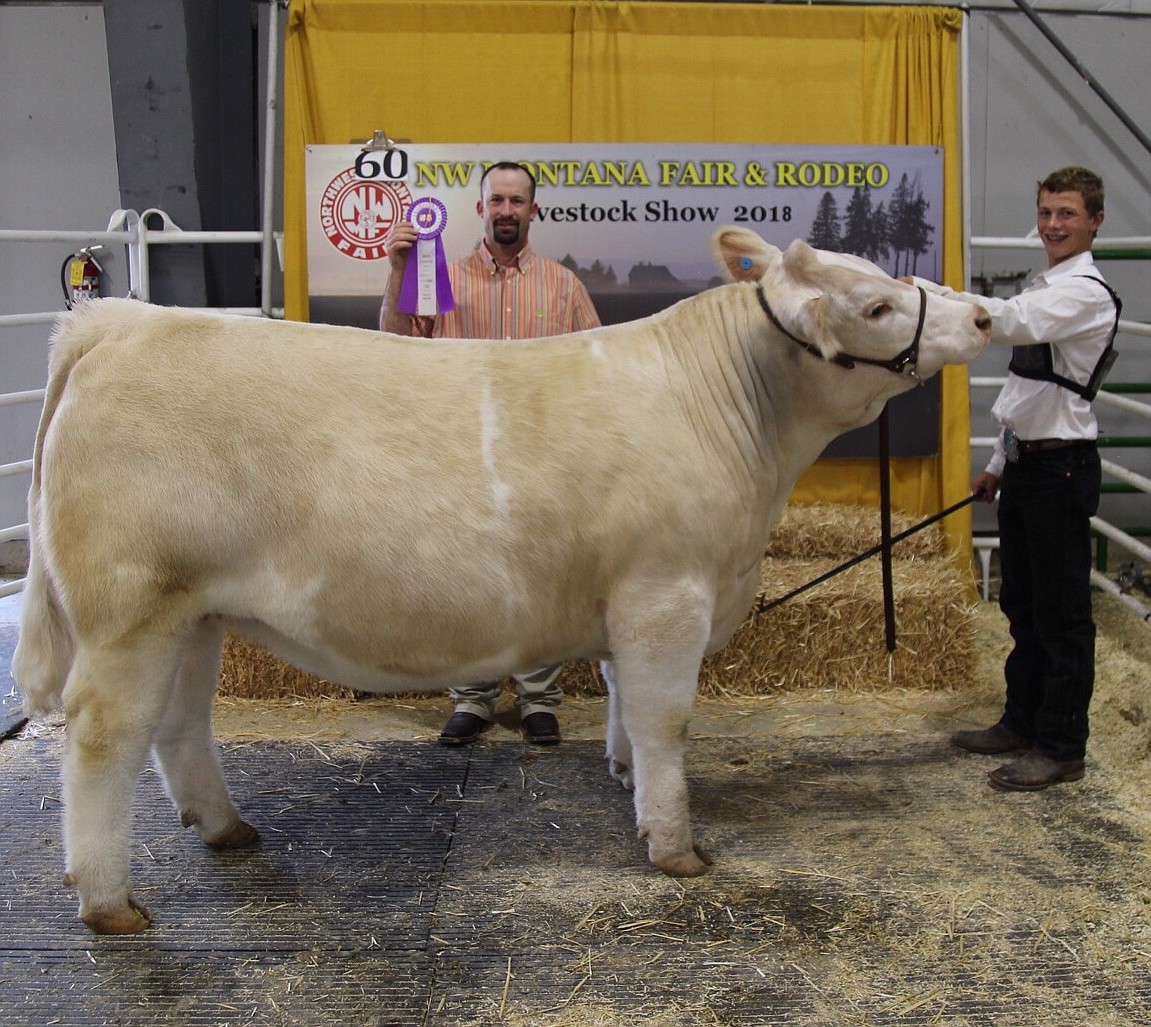 Grand Champion Market Steer:&#160;
Garrett Jewett&#160;
(Photo by Karly Hanson/Karly Katherine Photography)