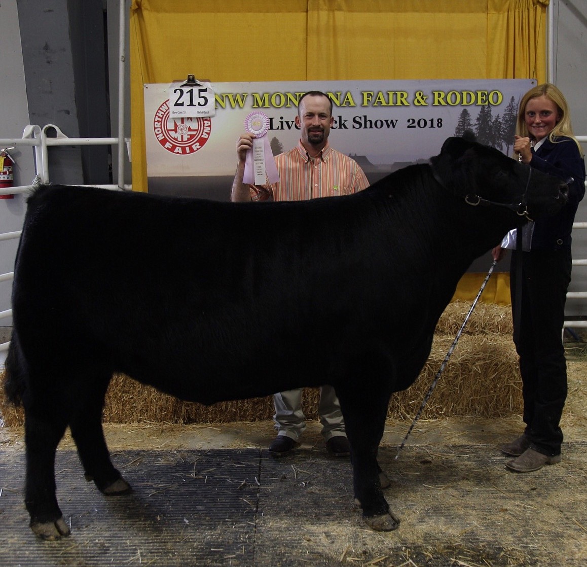 Reserve Champion Market Steer:&#160;
Hayden Hansen

(Photo by Karly Hanson/Karly Katherine Photography)