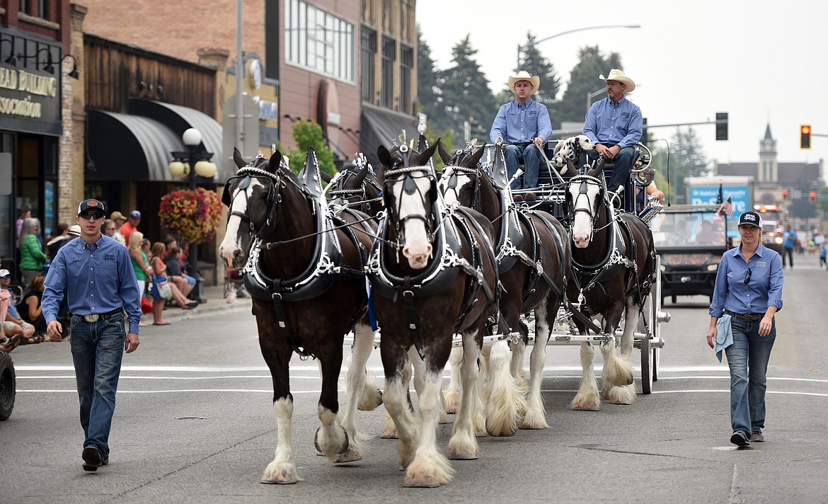 The Express Clydesdales take part in the annual Northwest Montana Fair Parade. The Clydesdales will be on display at the fairgrounds throughout the fair.