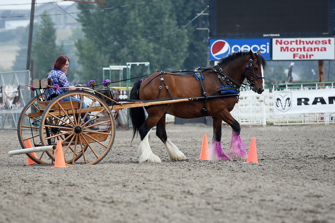 Brittany Williams and her Clydesdale Sunny perform during the draft horse show at the Northwest Montana Fair and Rodeo on Thursday. (Casey Kreider/Daily Inter Lake)