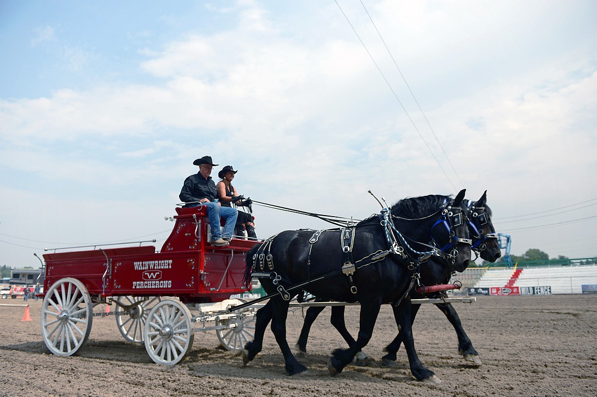 Robert Fisher and Lonita Wainwright ride behind their Percheron horses during the draft horse show at the Northwest Montana Fair and Rodeo on Thursday. (Casey Kreider/Daily Inter Lake)