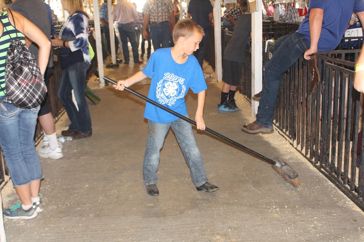 Cheryl Schweizer/Columbia Basin HeraldSwine barn duty at the Grant County Fair sometimes requires wielding a broom.