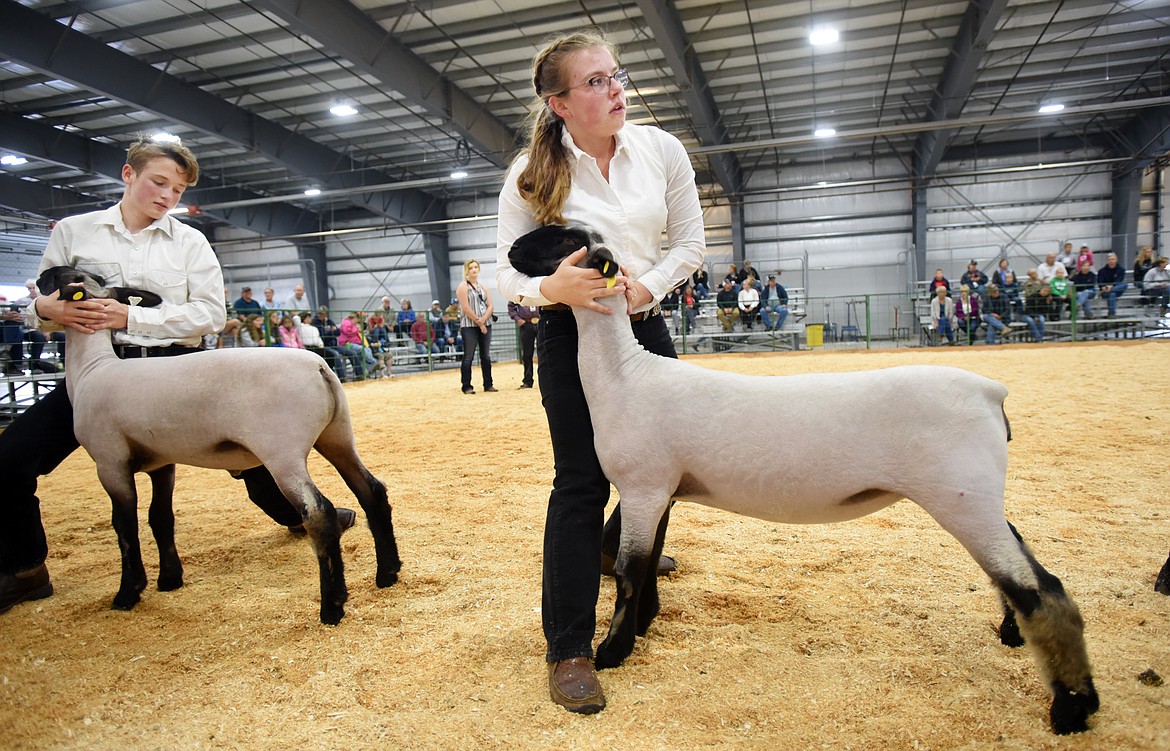 Krystal Sutton wrangles her sheep in the showmanship competition on Tuesday morning, August 14, at the Northwest Montana Fair at the Flathead County fairgrounds in Kalispell.(Brenda Ahearn/Daily Inter Lake)