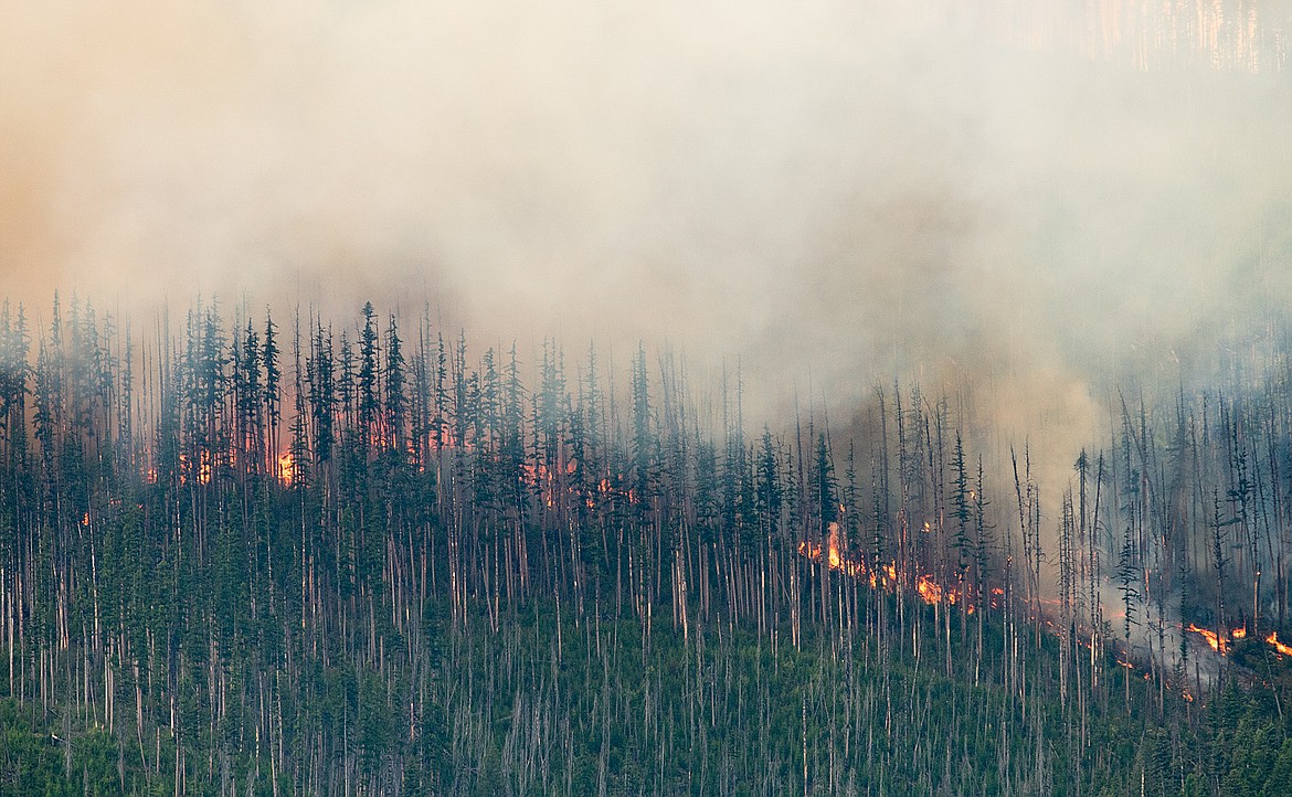 A fire burns in downed timber and thick young trees on Howe Ridge.