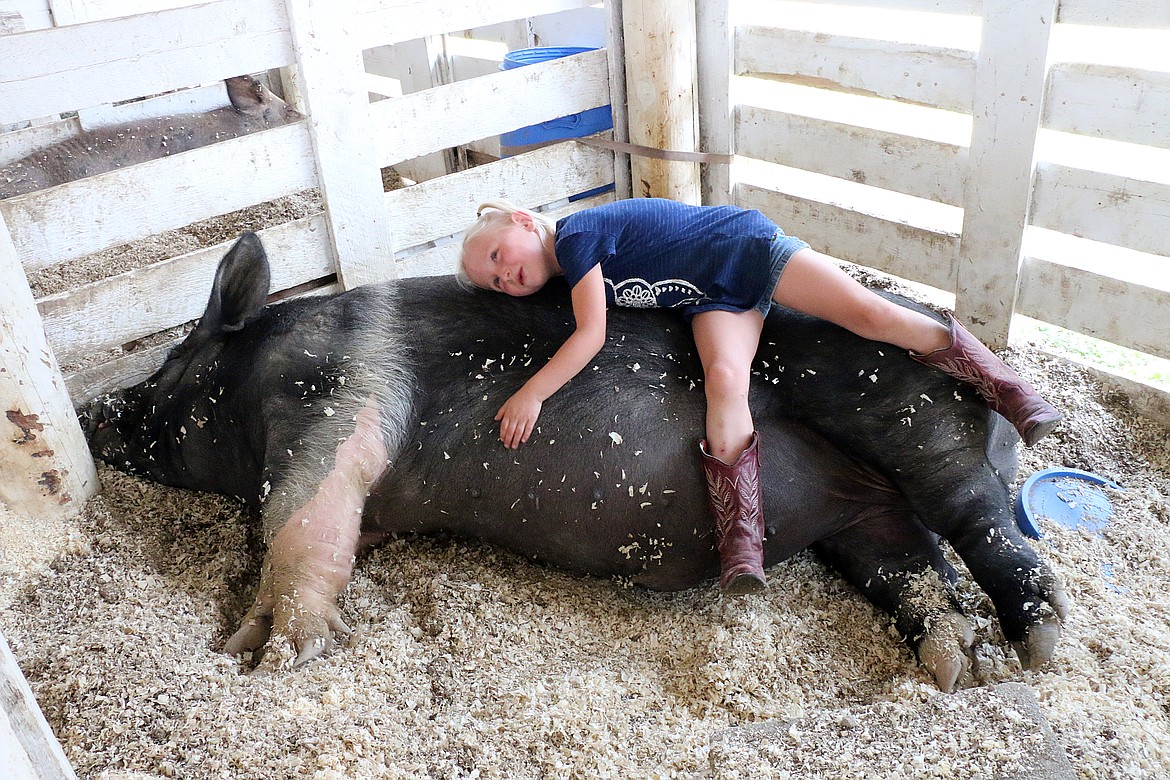 Raye — also known as Farm-Her Raye — Johnson finds a comfy spot to lay as she gives her pig Buttercup (aka Butters) a hug at a past the Bonner County Fair.