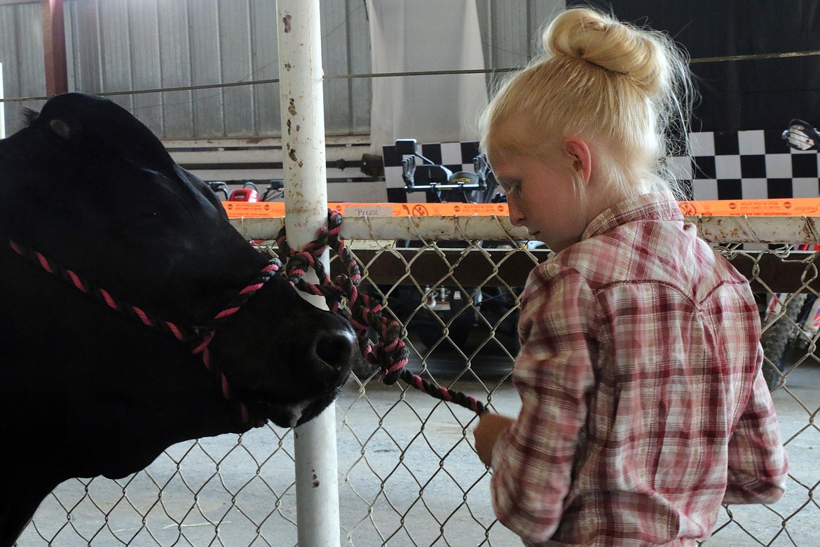 Moriah Barnhart of the Careywood Eager Beavers 4-H Club stands with her steer at the Bonner County Fair on Wednesday. It&#146;s her third year of raising a steer for the fair and her first year of raising a heifer.