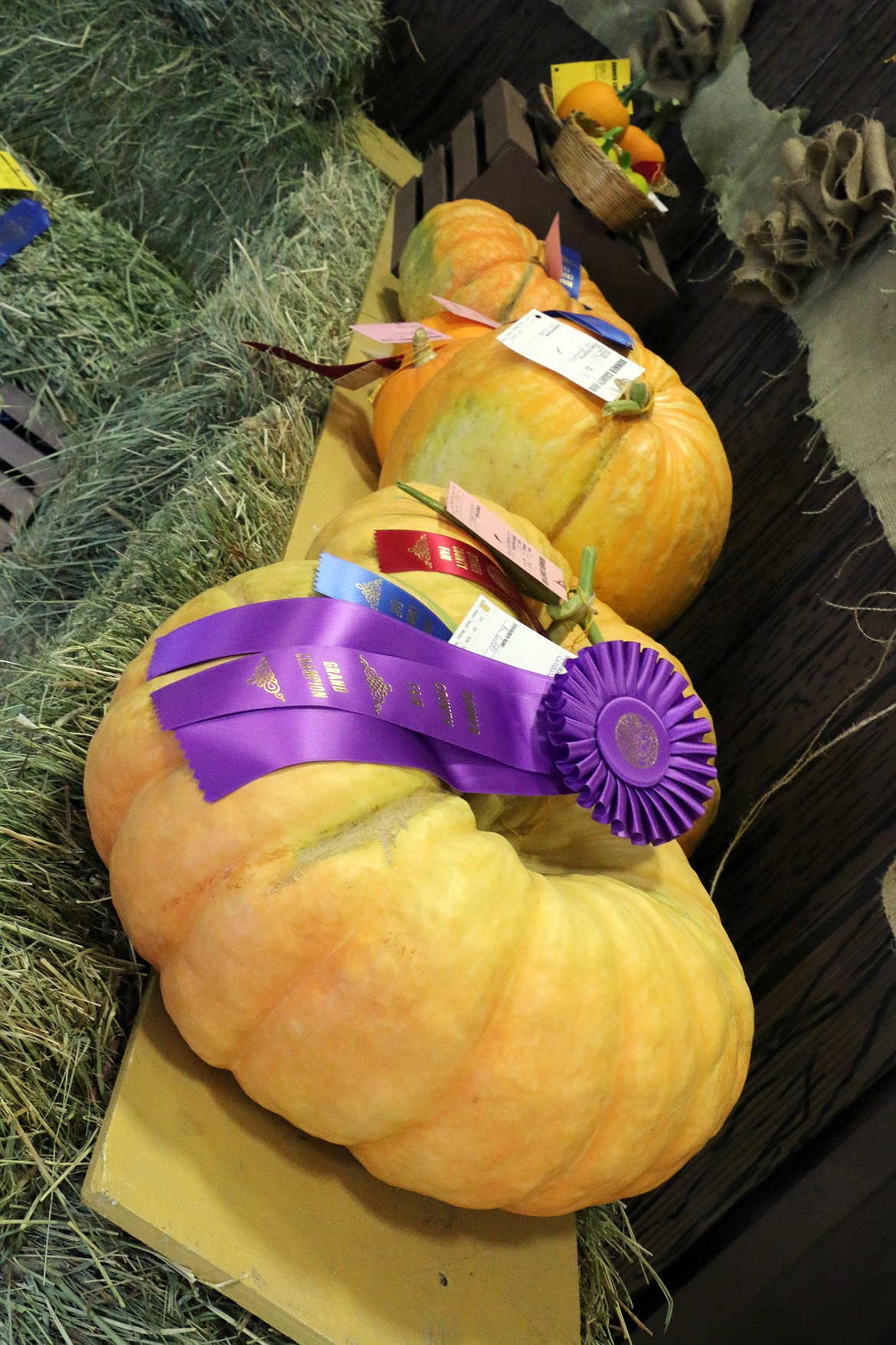 (Photo by CAROLINE LOBSINGER)Squash line the shelves at the Bonner County Fair in the main exhibit hall.